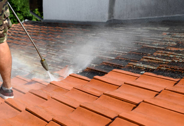 Best Exterior Home Cleaning  in Claypool Hill, VA